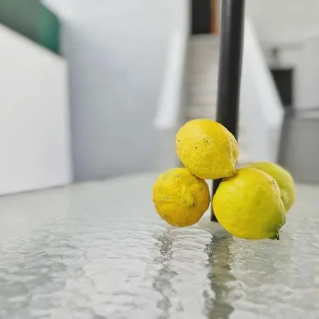 Lemon Tree With Patio Apartment Lissabon
